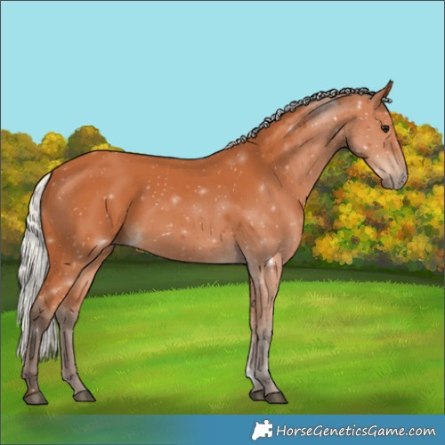 Horse Color:Silver Bay