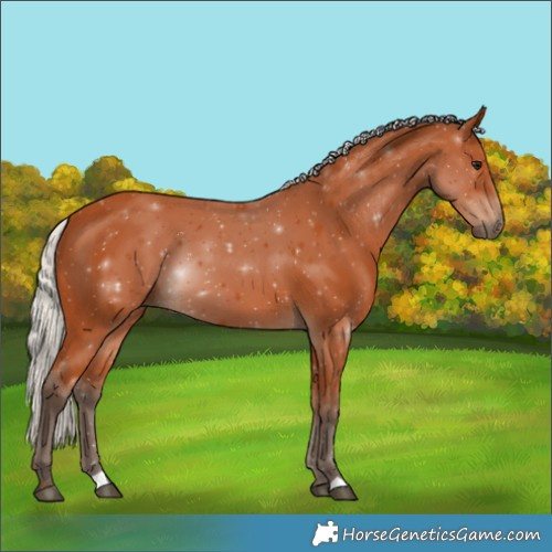 Horse Color:Silver Bay