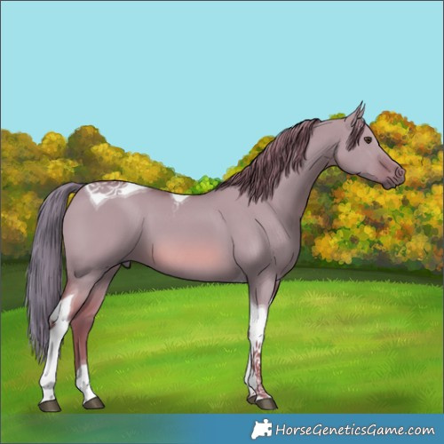 Horse Color:Watercolor Red Dun Tobiano 