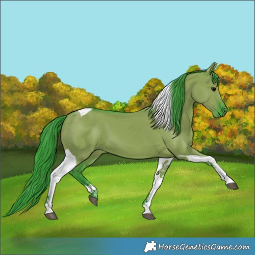 Horse Color:Watercolor Grullo Tobiano
