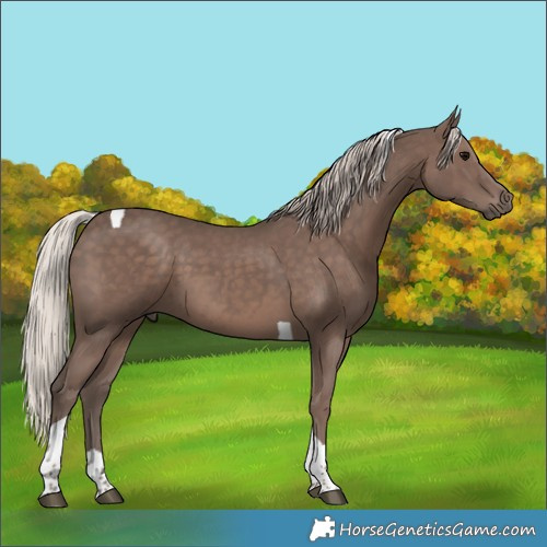 Horse Color:Silver Black Tobiano