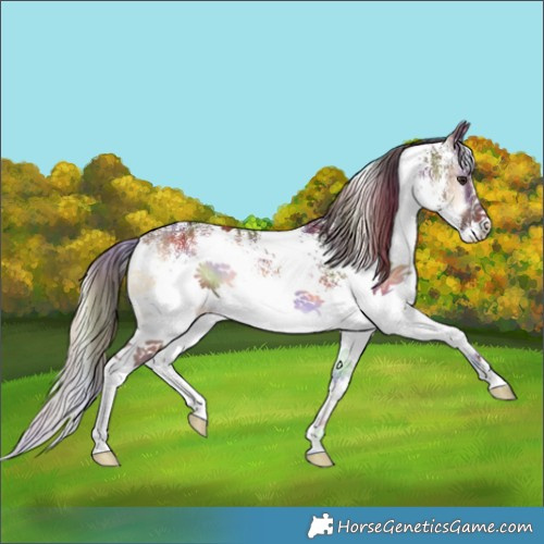Horse Color:Nacre White Spotted Red Onyx
