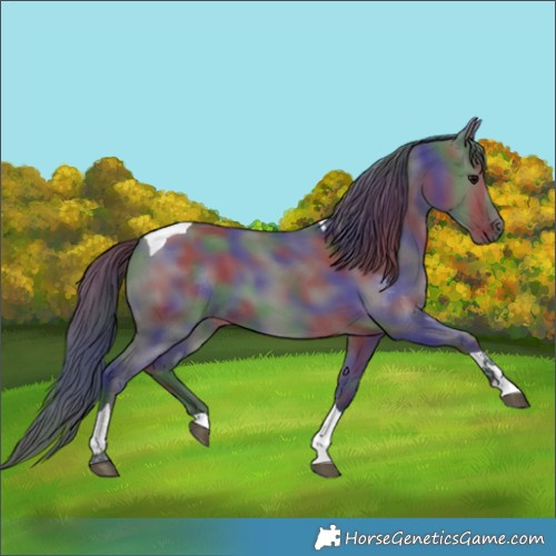 Horse Color:Nacre Grullo Tobiano 