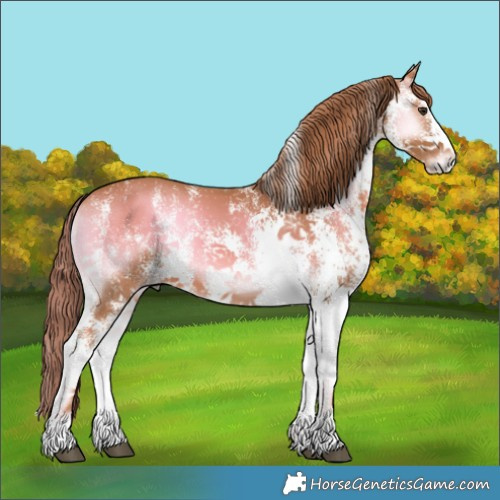 Horse Color:Watercolor White Spotted Red Onyx 