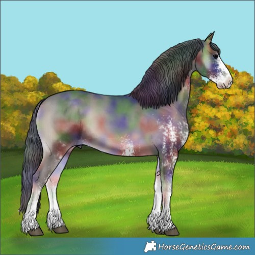 Horse Color:Nacre White Spotted Blue Onyx 