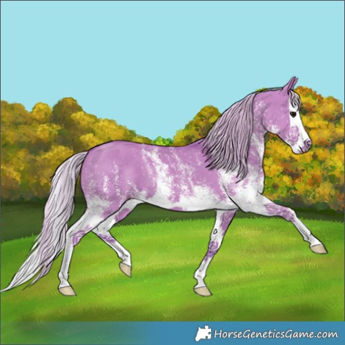 Horse Color:Watercolor White Spotted Silver Grullo Splash 