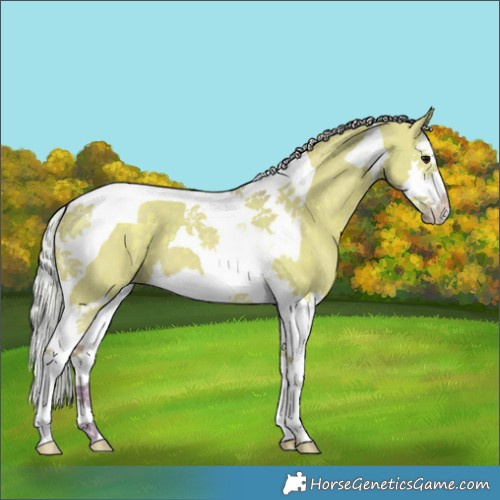 Horse Color:Watercolor Silver Grullo Splash Tobiano 