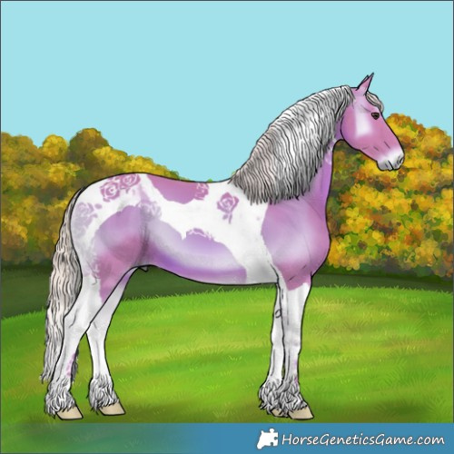 Horse Color:Watercolor Red Onyx Tobiano 