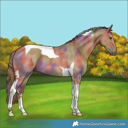 Horse Color:Nacre Red Dun Tobiano 
