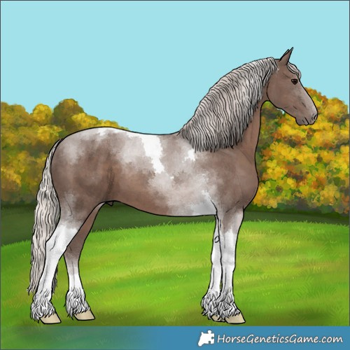 Horse Color:Silver Black Tobiano 
