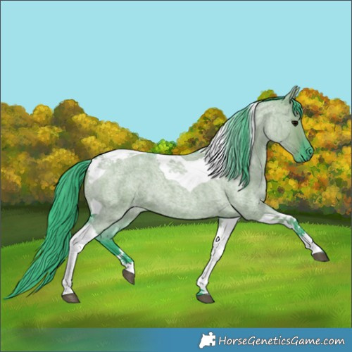Horse Color:Watercolor Grullo Roan Tobiano 