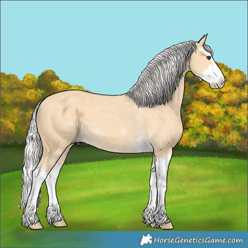 Horse Color:Silver Buckskin Splash 