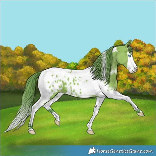 Horse Color:Watercolor Grullo Splash Tobiano Appaloosa