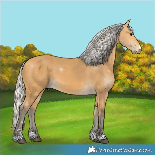 Horse Color:Silver Buckskin 