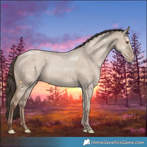Horse Color:Classic Champagne Dun