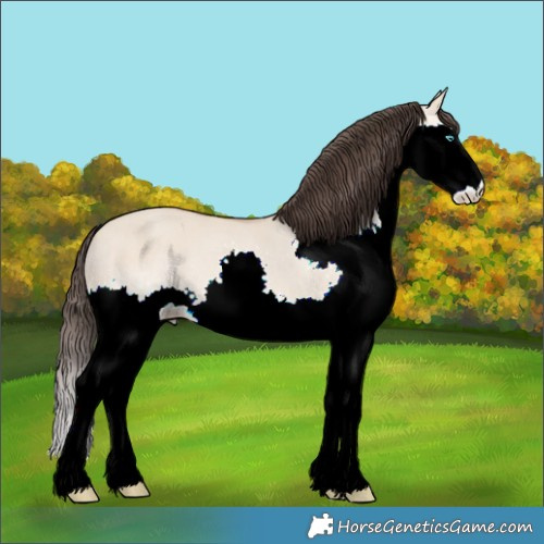 Horse Color:Amber Champagne Dun Splash 