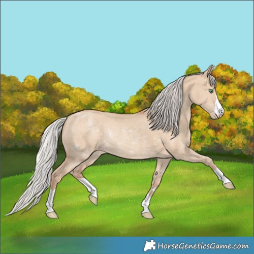 Horse Color:Silver Classic Champagne Dun Rabicano 