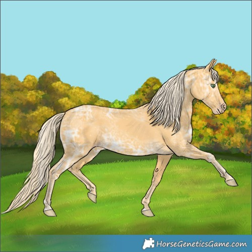 Horse Color:Gold Cream Champagne Ice 