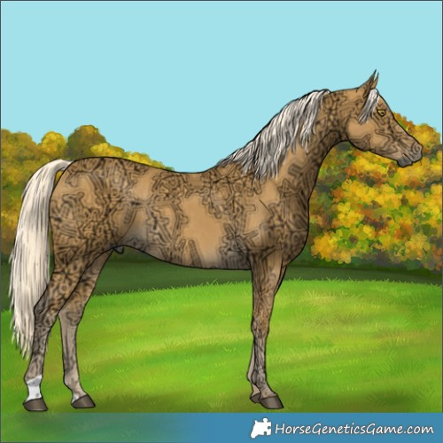 Horse Color:Palomino Ice Rabicano 