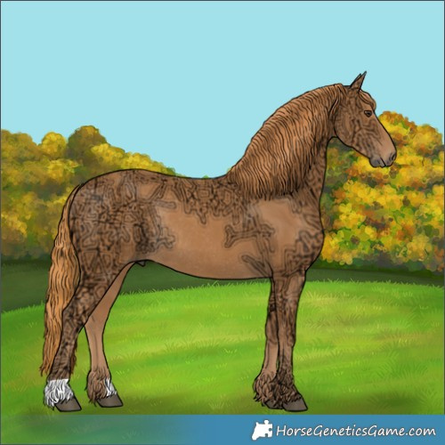 Horse Color:Chestnut Ice Rabicano 