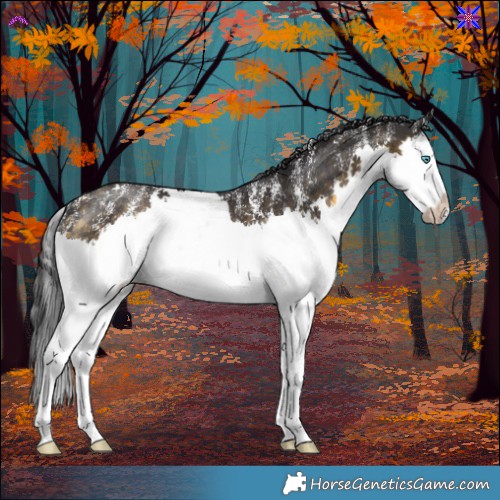 Horse Color:Powder White White Spotted Buckskin Splash Rabicano