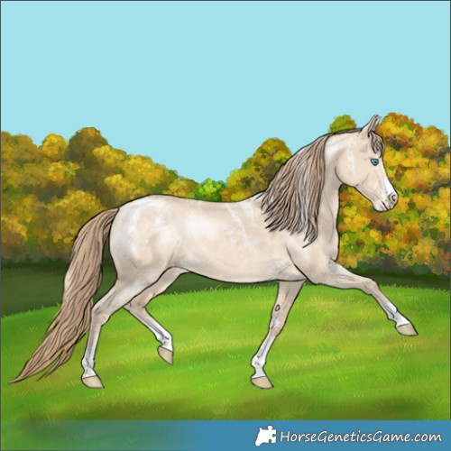 Horse Color:Powder White Perlino Dun Rabicano 