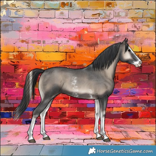 Horse Color:Blue Onyx Sabino Splash 