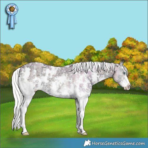 Horse Color:White Spotted Silver Smoky Creme Ice Onyx Sabino 