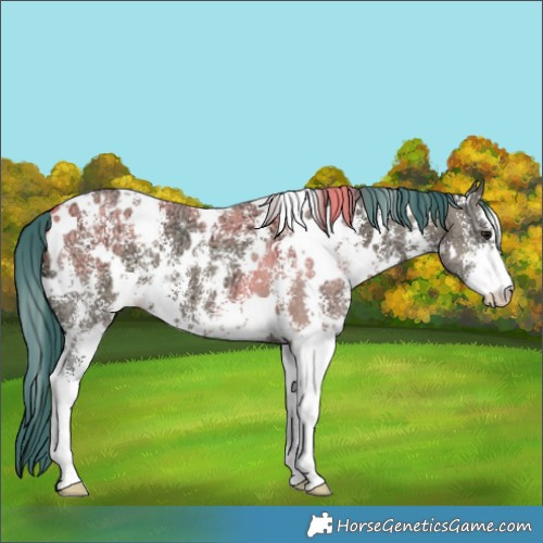 Horse Color:Watercolor White Spotted Smoky Grullo Ice Sabino 