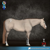 Horse Color:Sable Champagne Dun Sabino Varnish