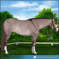 Horse Color:Platinum Chocolate Brown Dun Rabicano