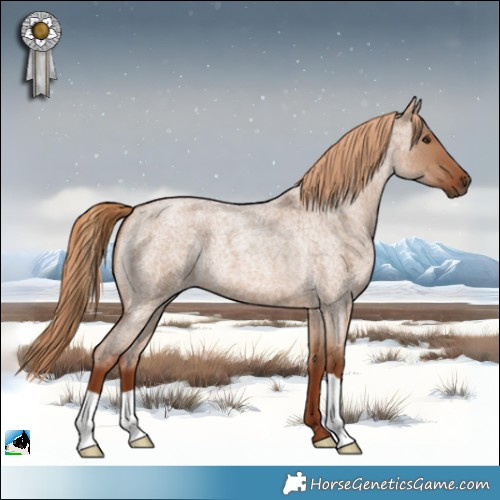 Horse Color:Red Dun Roan 