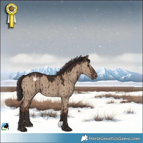 Horse Color:Liver Red Dun Appaloosa Brindle 