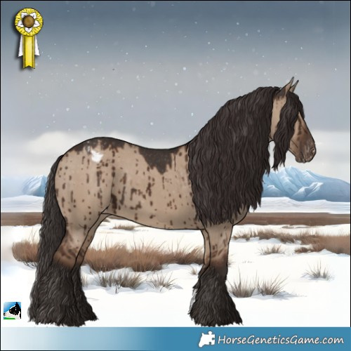 Horse Color:Liver Red Dun Appaloosa Brindle 