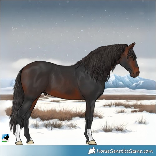 Horse Color:Brown 