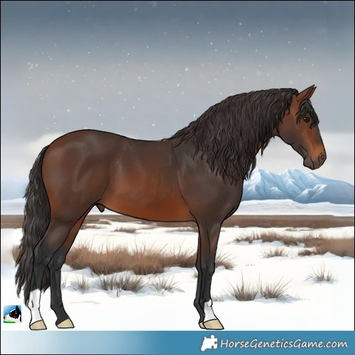 Horse Color:Brown 