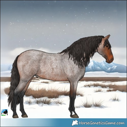 Horse Color:Bay Roan 