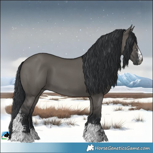 Horse Color:Grullo Sabino 