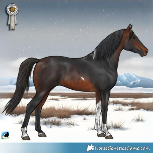 Horse Color:Bay Tobiano Rabicano 