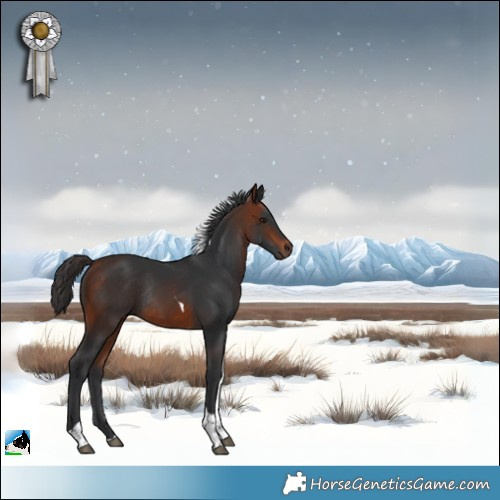 Horse Color:Bay Tobiano Rabicano 