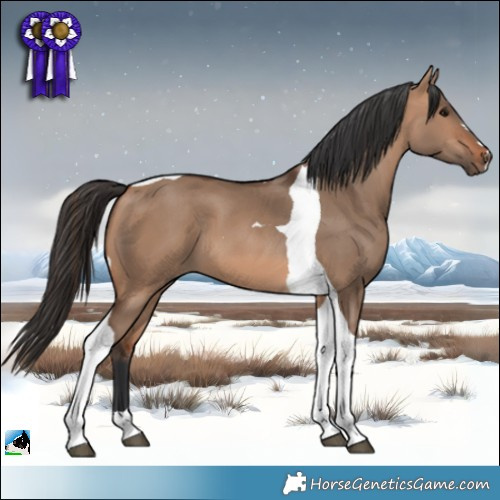 Horse Color:Bay Dun Tobiano 