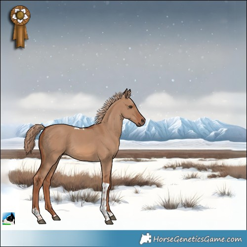 Horse Color:Red Dun Tobiano 