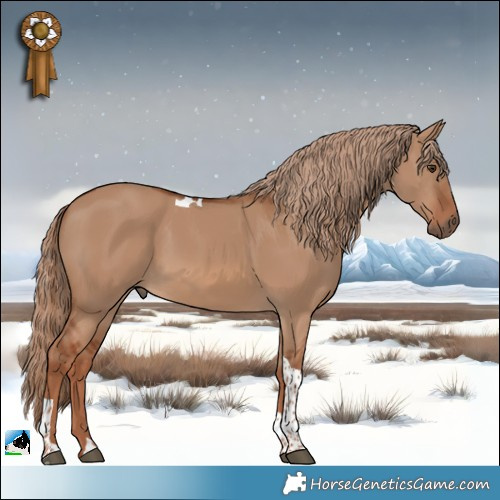 Horse Color:Red Dun Tobiano 