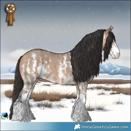 Horse Color:Bay Dun Sabino Brindle 