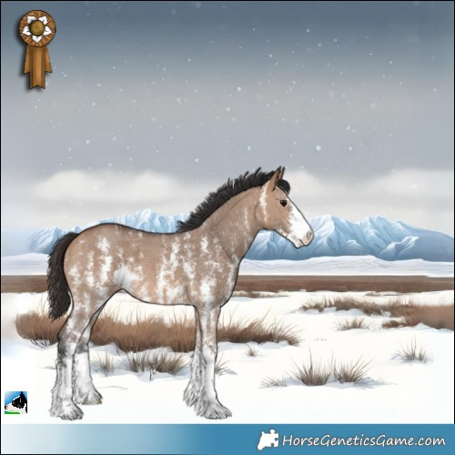 Horse Color:Bay Dun Sabino Brindle 