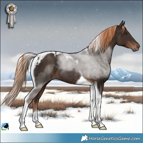 Horse Color:Liver Chestnut Tobiano Rabicano 