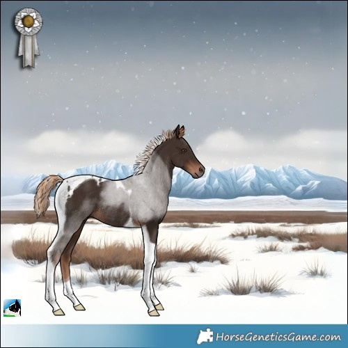 Horse Color:Liver Chestnut Tobiano Rabicano