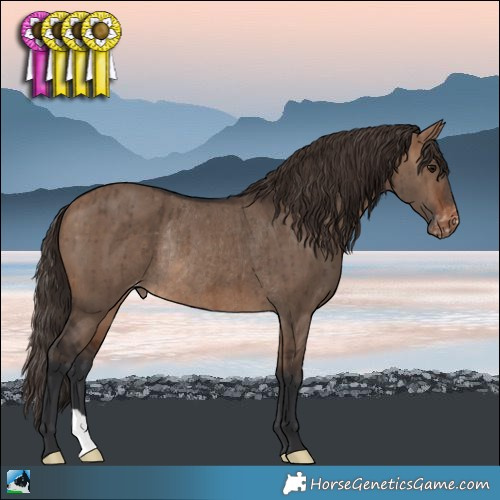 Horse Color:Brown Dun Appaloosa Rabicano Brindle 