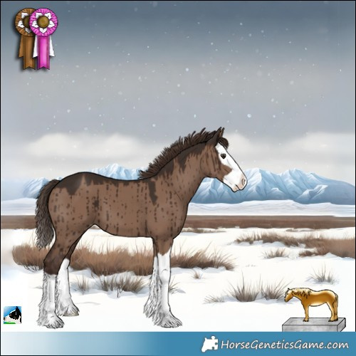 Horse Color:Liver Red Dun Splash Appaloosa Brindle 