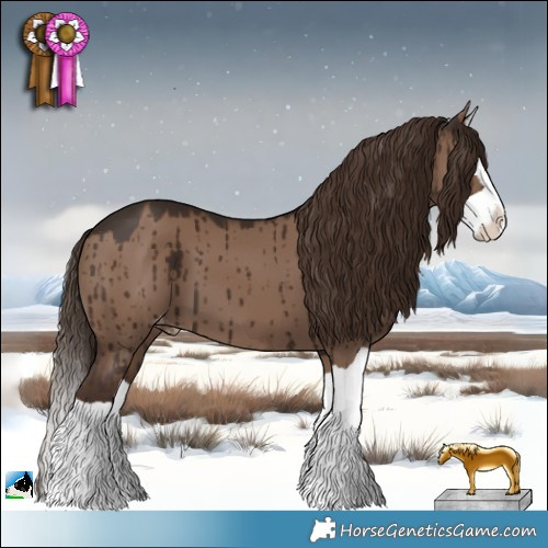 Horse Color:Liver Red Dun Splash Appaloosa Brindle 
